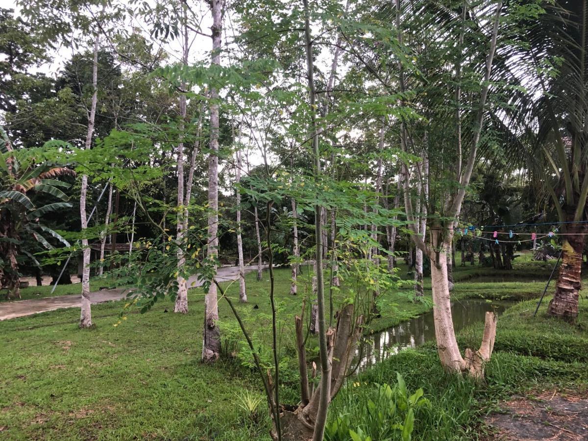 Grace Guesthouse Kota Belud Buitenkant foto